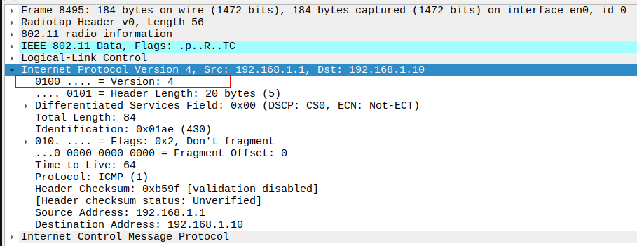 IP Version in ICMP Echo Request