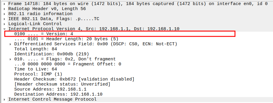 IP Version in ICMP Echo Request